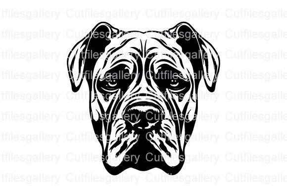 Cane Corso Dog SVG for Real Projects